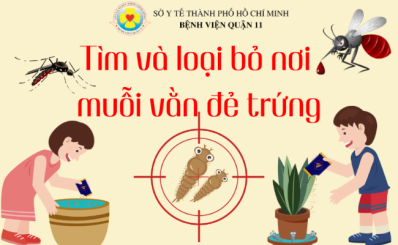 Tìm và loại bỏ nơi muỗi vằn đẻ trứng